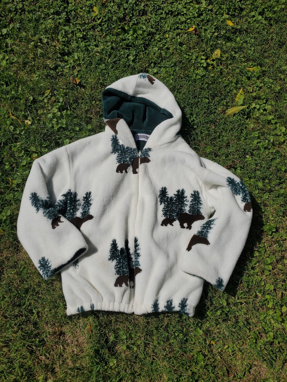 Teddy Bear Hoodie